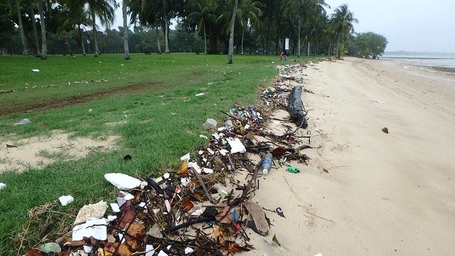 Trash on Pasir Ris shore