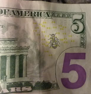 Bug chopmark on US $5 bill