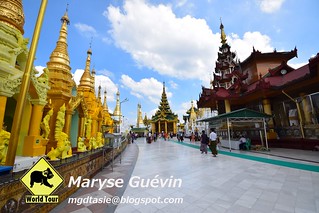 Shwedagon pagoda et Maha Wizaya pagoda Yagon Birmanie Myanmar