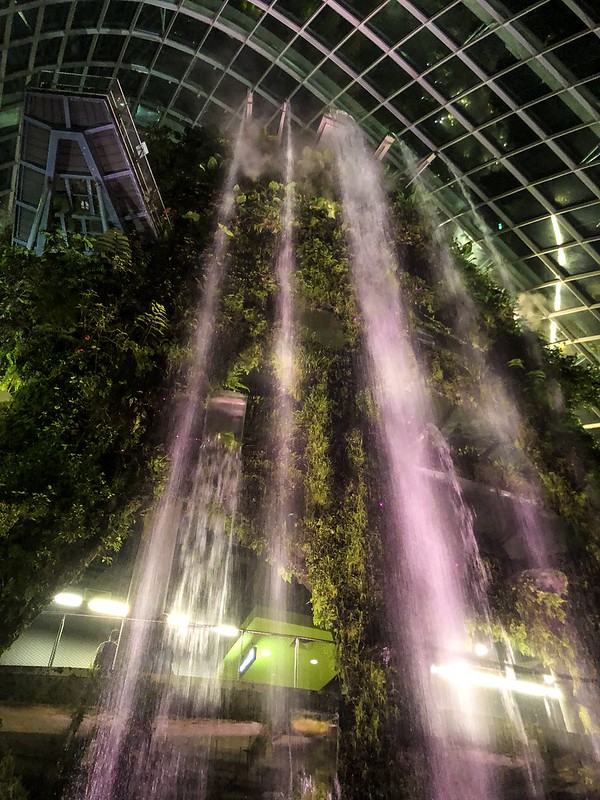 Flower Dome and Cloud Forest | Night Layover in Singapore
