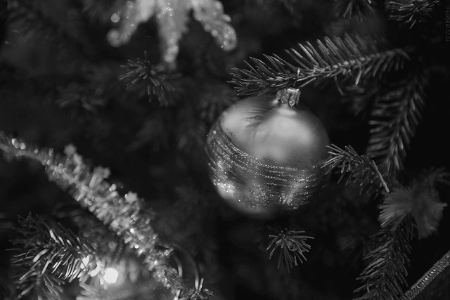 2018.01.01_001/365 Every year begins with the decorated spruce