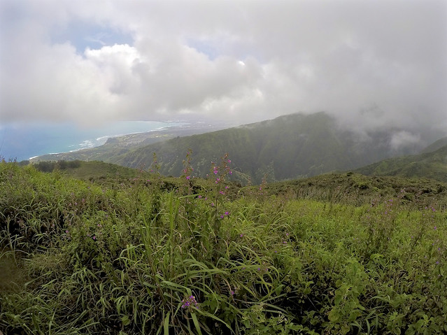 Waihe'e Ridge Trail on Maui