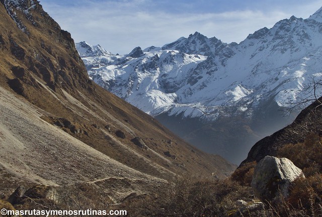 Por el cielo y el infierno de NEPAL. Trek Langtang - Blogs de Nepal - Trekking Langtang. Etapa 3: De Langtang a Kianjing Gompa (6)