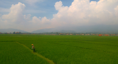 indonesia train landscape