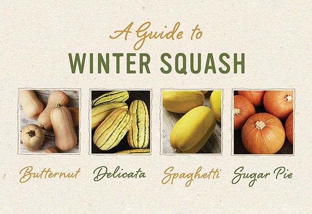 A Guide to Winter Squash