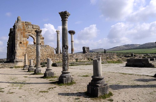 africa afrique maroc morocco volubilis ruine ruin forum cité city town ville architecture paysage landscape