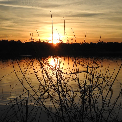 reedbinghamstatepark sunset