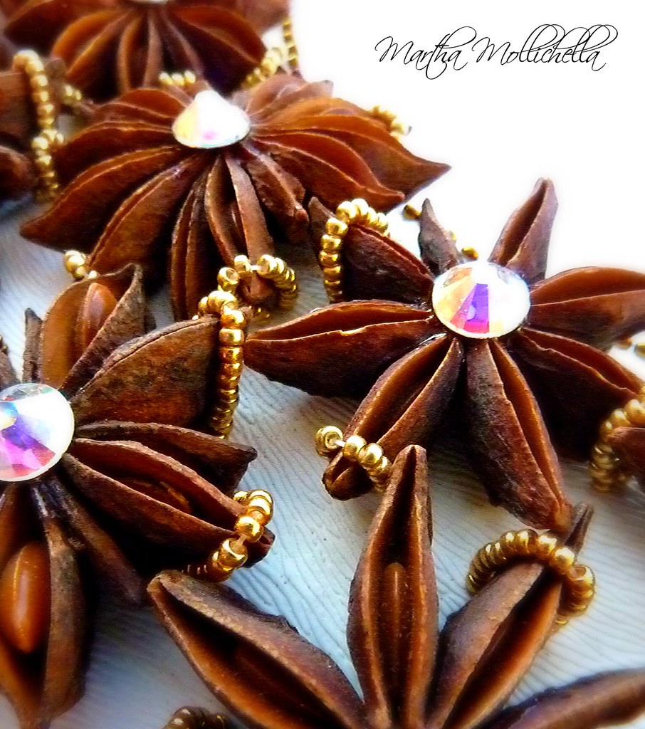 star anise jewes anice stellato gioielli healing spices gioielli spezie martha mollichella handmade jewels