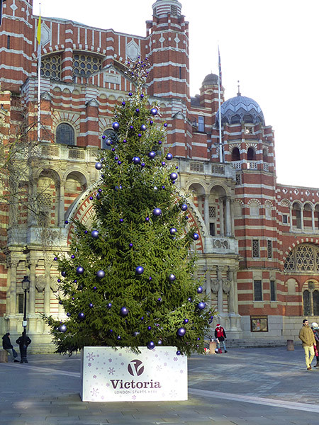 westminster cathedral's tree