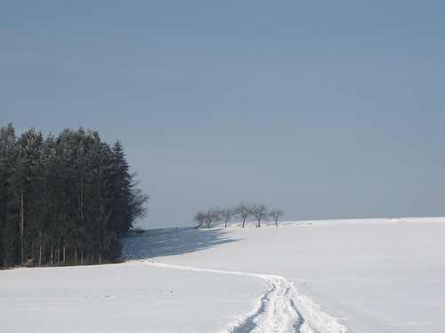 schnee snow winter landschaft landscape winterlandschaft schneelandschaft spuren tracks apfelbäume appletrees wald nadelbäume pinetrees oberpfalz