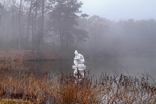 newportnews virginia va usa kettlepond sculpture fog foggy lake pond art landscape