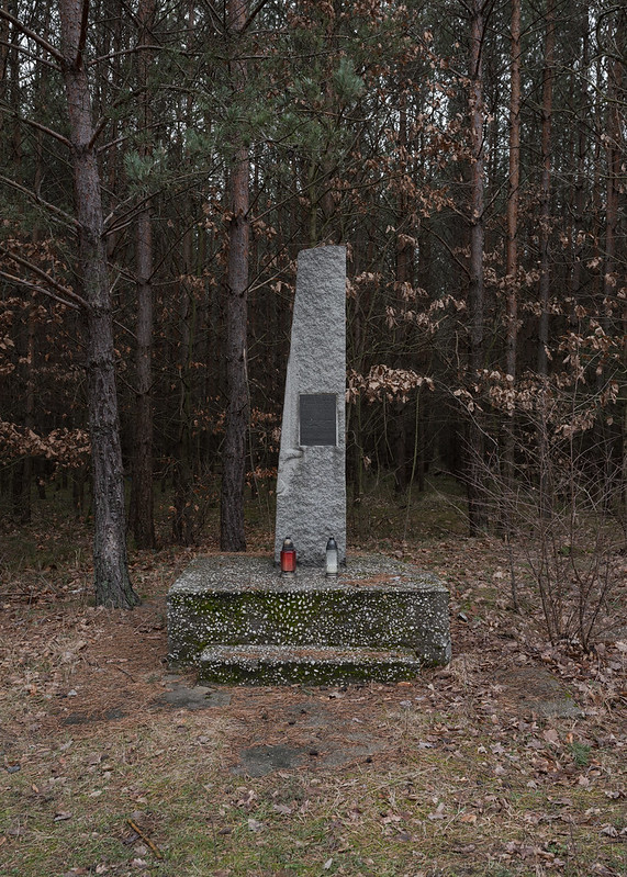 Monument. Mąkoszyce, 28.01.2018