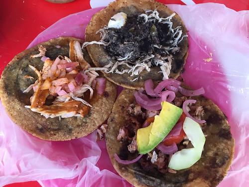  Panuchos. From 8 Mayan Dishes to Try in the Yucatan