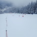 Hřiště s obřím slalomem pro lyžaře.