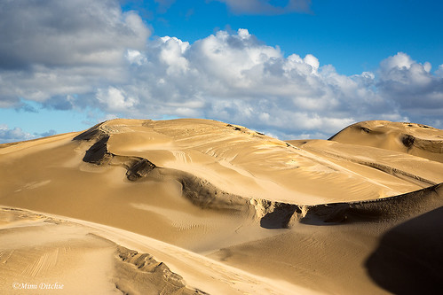 oceanodunes clouds dunes sanddunes landscape getty gettyimages mimiditchie mimiditchiephotography