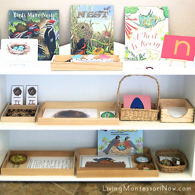 Montessori Shelves with Nest-Themed Activities