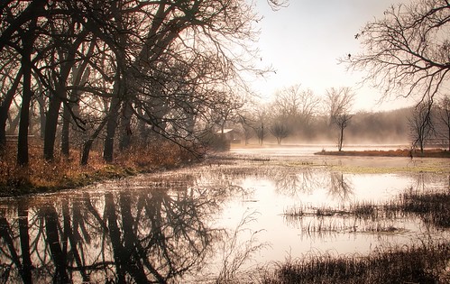 a7r2 berry creek fog hdr reflection morning trees water mist sony