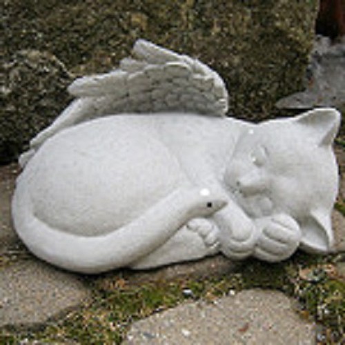 Angel Cat square