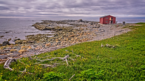 shoreline building water industry weather clouds broompoint commercial ocean newfoundland locationrecorded scenic grosmornenationalpark architecture canada commercialfishing shed historicbuilding fence