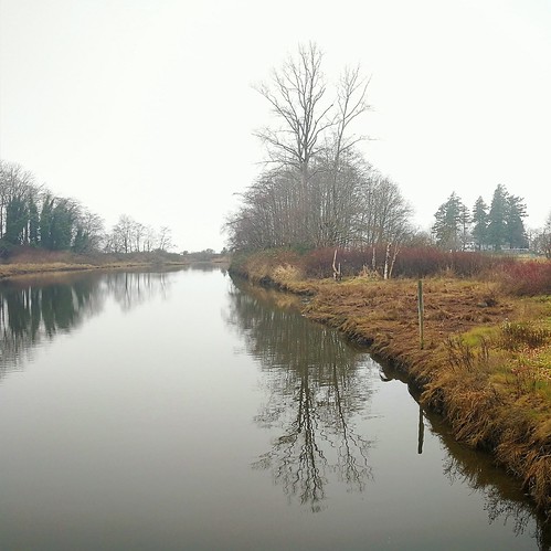 monochrome minimalist winter riverbank britishcolumbia bccanada reflectionssquareformat