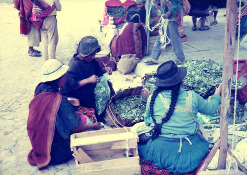 eliosamati bolivia tarabuco