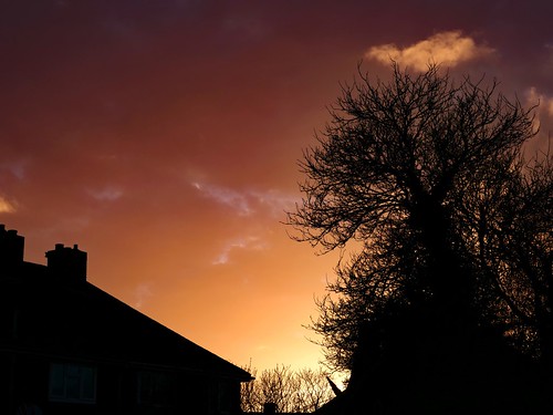 sky clouds trees houses colour sunset