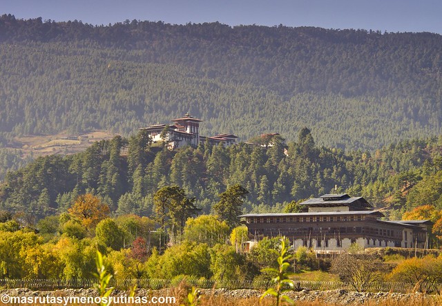 Bumthang: Festival Jambey en el valle espiritual de Bután - Por los monasterios y bosques de BUTAN (3)