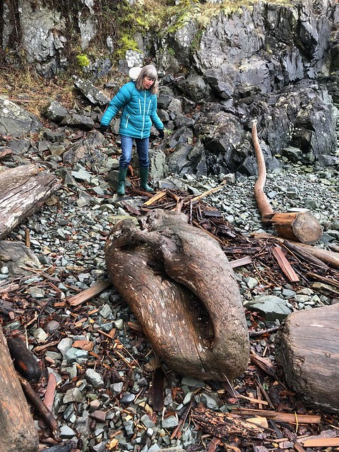 Nanaimo - big driftwood and linda