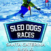 SLED DOG races Santa Caterina