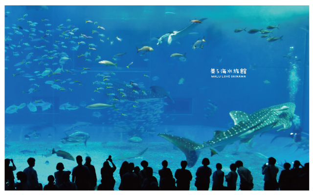 沖繩美麗海水族館-21