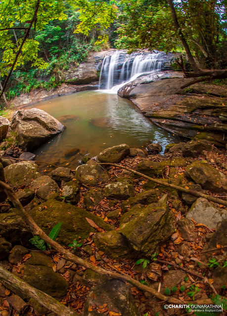 Sri Lanka - Natural Water Fall Forest