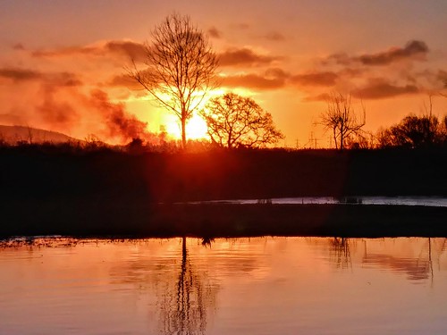 lake water pond reflection wet pentaxart light sun sunrise tree silhouette cameraphone phone clouds sky sundorne shrewsbury shropshire
