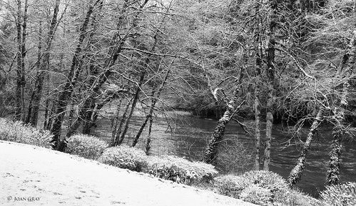 littlenorthsantiamriver littlenosantiamriver thenorthfork snow february blackandwhite