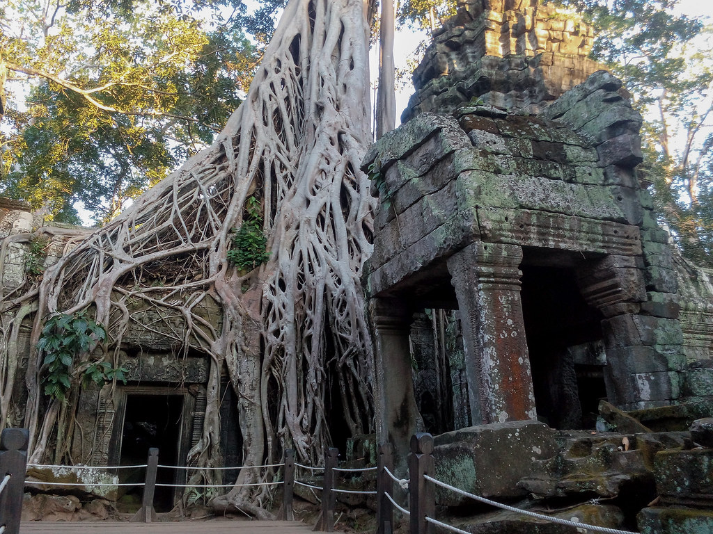 Camboya: Siem Riep, Nom Pen, Sihanoukville - Blogs de Camboya - Día 3. Siem Riep (2015.11.27) (19)