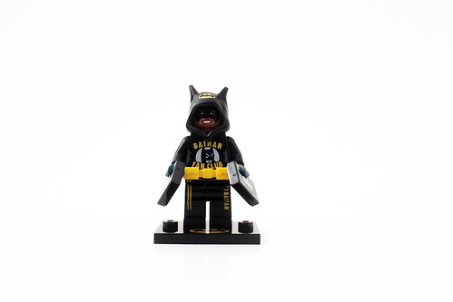 The LEGO Batman Movie Collectible Minifigures Series 2 (71020)