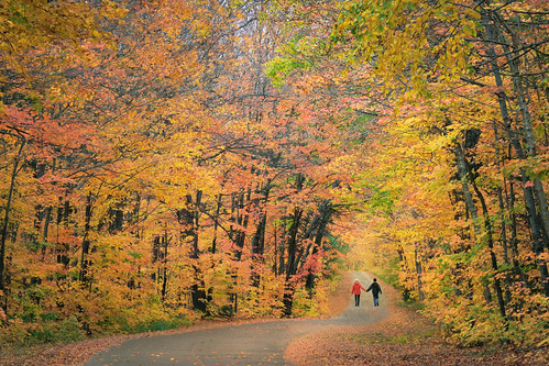 autumnyearning autumn autumncolours algonquinprovincialpark algonquin ontario canada canon5dmarkiii landscape lifeng ef70200mmf28lisiiusm