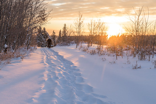 18 alberta canada stalbert sunrise weatherandseasons winter cold person snow trail walking ca