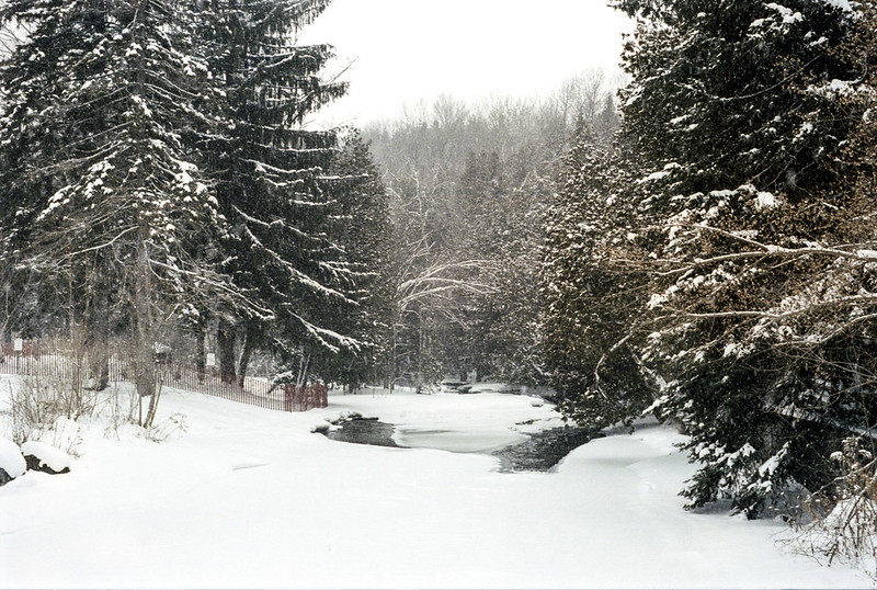 Snowy West Credit River One