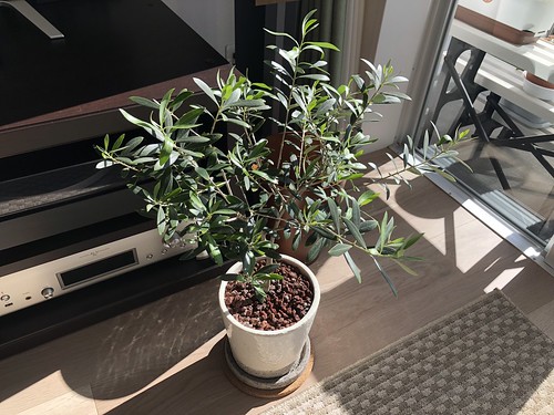 My Plants Jan. 2018