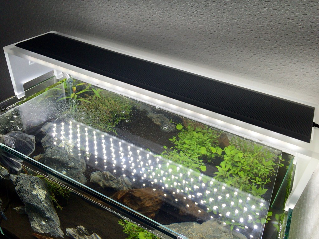 60cm水槽用照明にアクアスカイ・ムーン601 – アマノ家フイルム