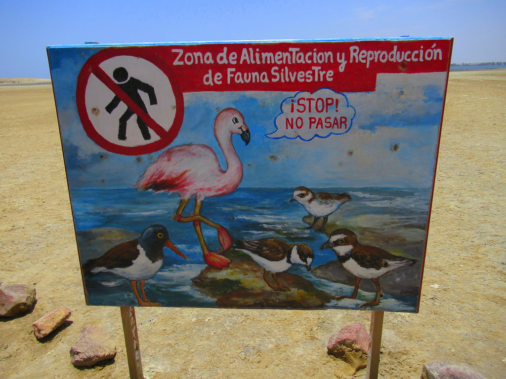 Reserva Nacional de Paracas