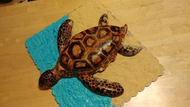 Sea Turtle Cake by Natalie Decanter