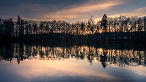 bavaria bayern sunset sonnenuntergang steinsee lake reflection reflektionen reflections tree