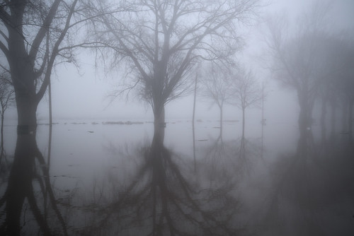 schenectady stockade flood mist morning fog water river