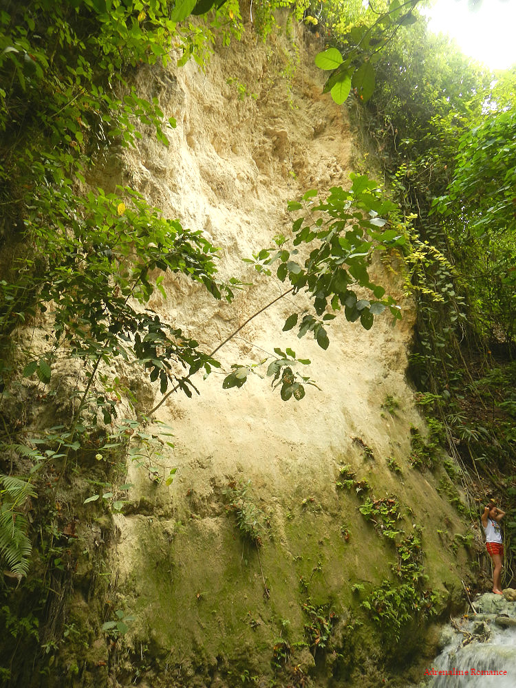 Remains of a landslide