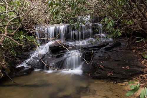 Cannon Creek Falls - 01
