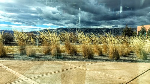 glass view desert wind mountains sagebrush grass blow clouds storm surreal
