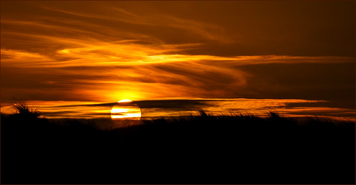 beach beauty black cloud clouds coast color eastanglia golden horizon natural nature norfolk orange red scenic silhouette sky sun sunny sunset background beautiful cloudscape colorful countryside dawn dramatic glorious glow gold goldenhour landscape light lowsun morning naturalbeauty norfolkbroads orangesky outdoor peace peaceful predawn rural scene scenery skies sunrise sunlight sunsetsky sunshine twilight view viewpoint warmth wispy horsey england unitedkingdom gb