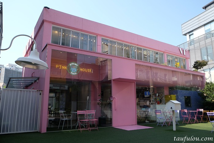 Menon Pink House (2)