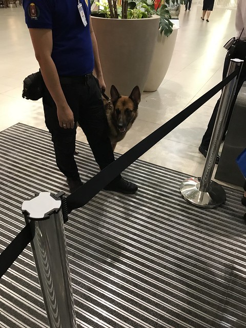 Podium Mll,  guard dog